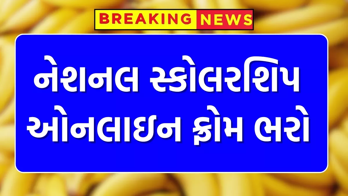 NSP Scholarship 2025