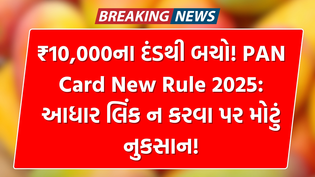 PAN Card New Rule 2025